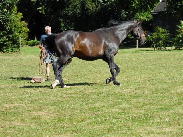 Longe 15 Juillet