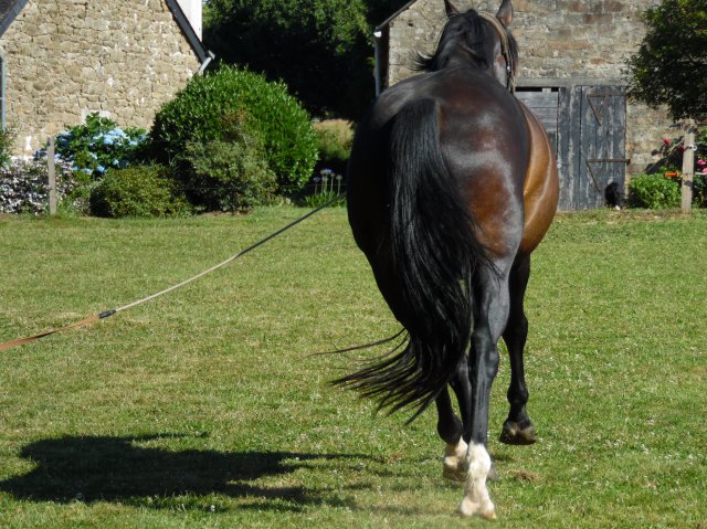 Longe 15 Juillet