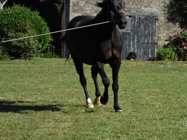 Longe 15 Juillet
