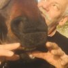 29 Janvier 2020 : LE massage