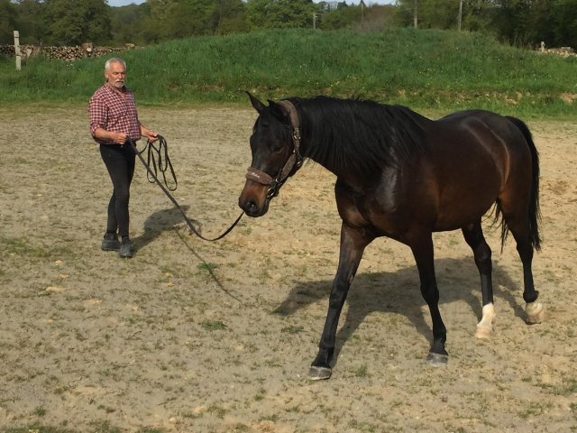 Avril 2018