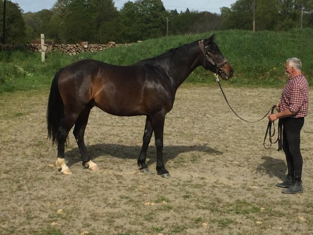Avril 2018