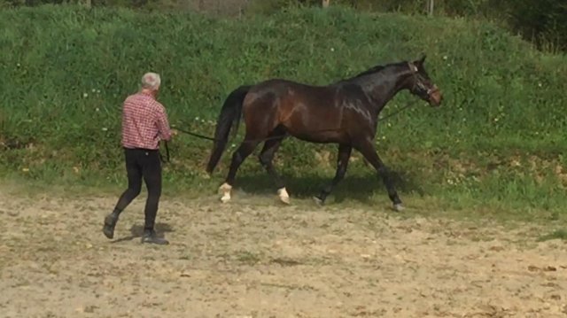 Avril 2018