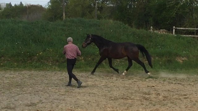 Avril 2018