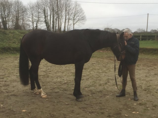 Decembre 2018