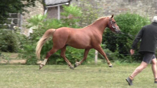 30 juillet 2019