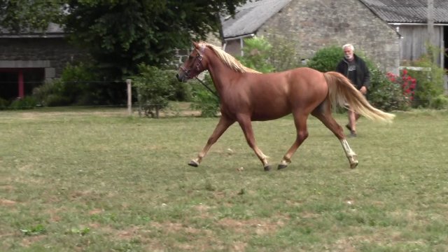 30 juillet 2019