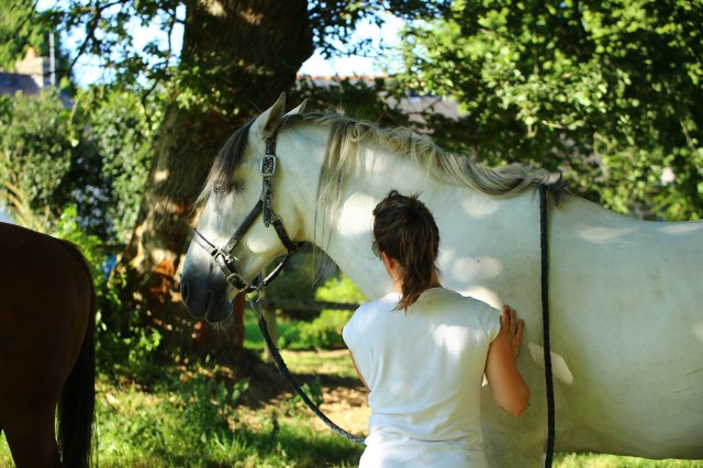 Juillet 2016