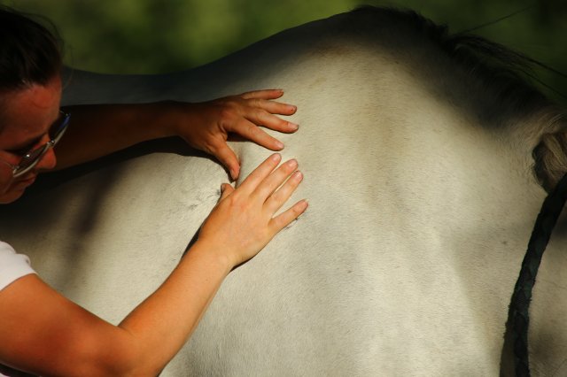 Massages