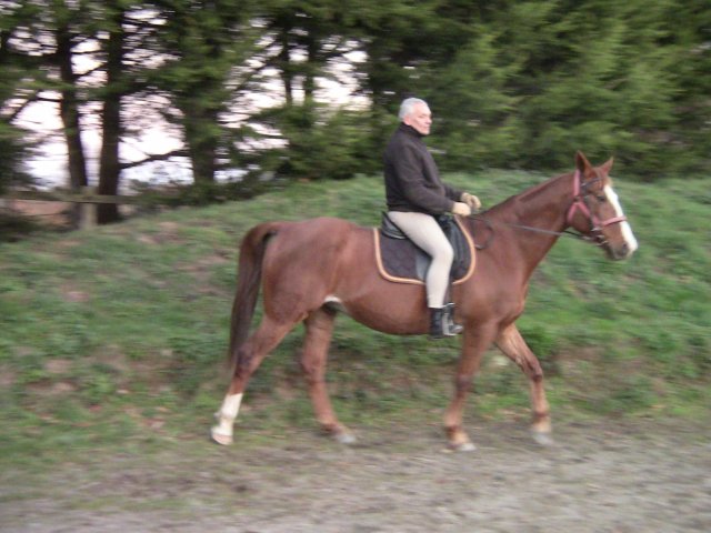Decembre 2018