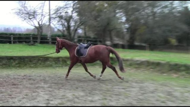 Novembre 2018