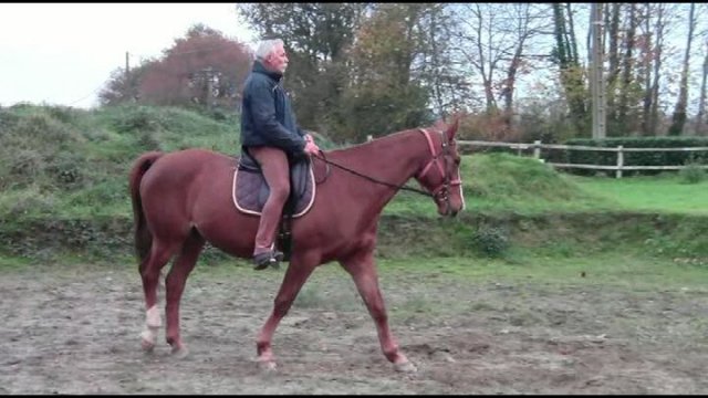 Novembre 2018