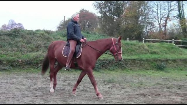Novembre 2018