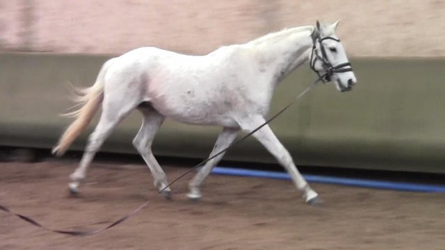 Avril 2019