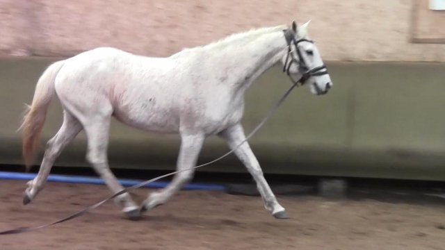 Avril 2019