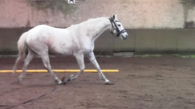 Avril 2019