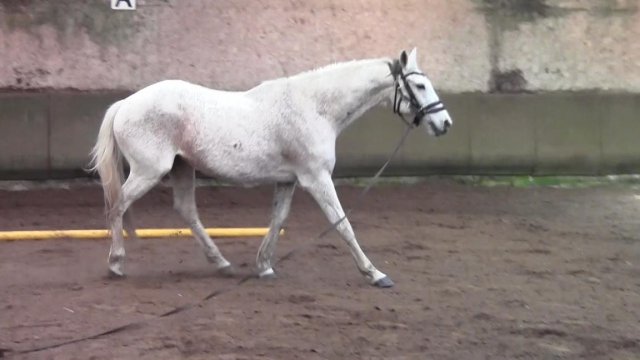 Avril 2019
