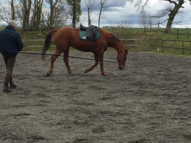 Avril 2018
