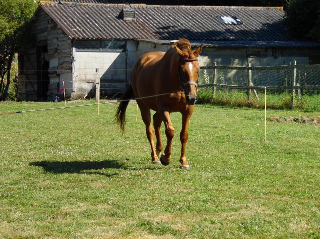 15 Juillet